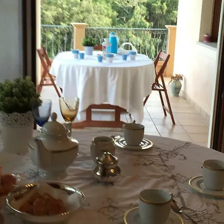 Alloro Villacidro