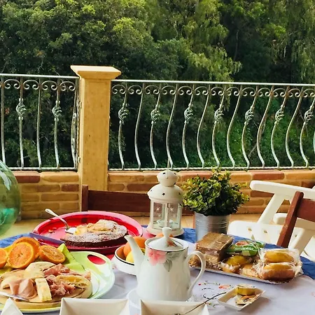 Alloro