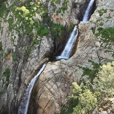 Alloro Villacidro